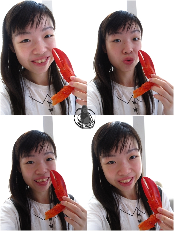 the_captains_house_12