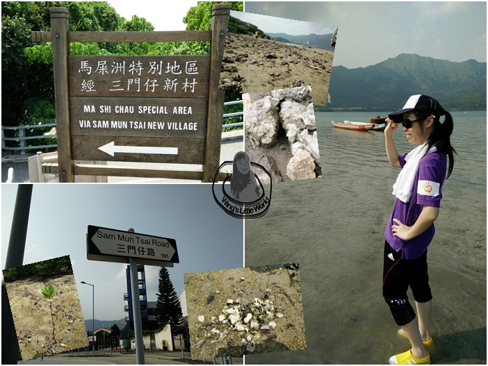 nestbeauty_centifolia_12