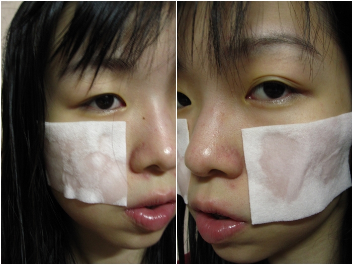 nestbeauty_centifolia_6