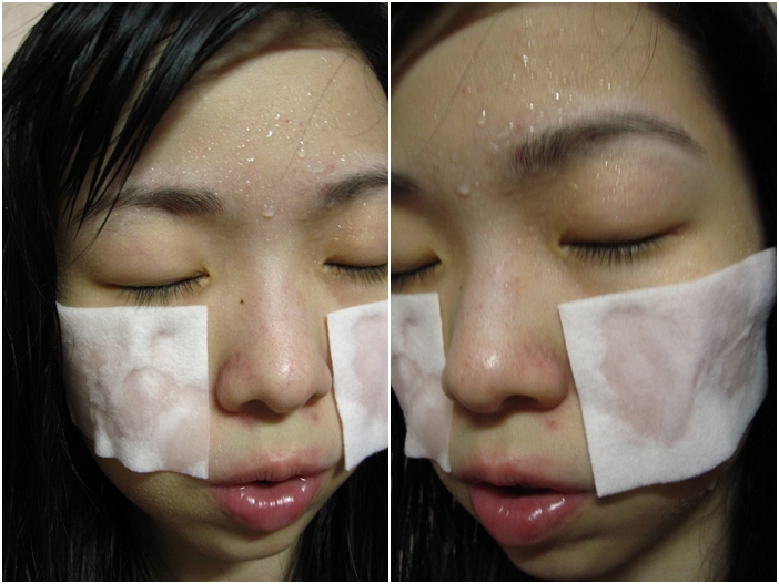 nestbeauty_centifolia_8