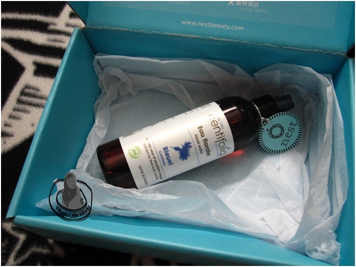 nestbeauty_centifolia_3