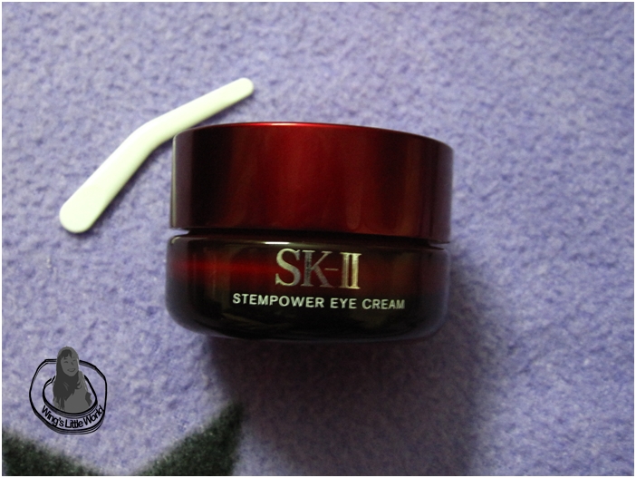 skii-event-blog1-21