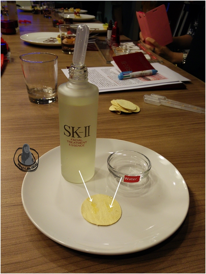 skii-event-blog1-8