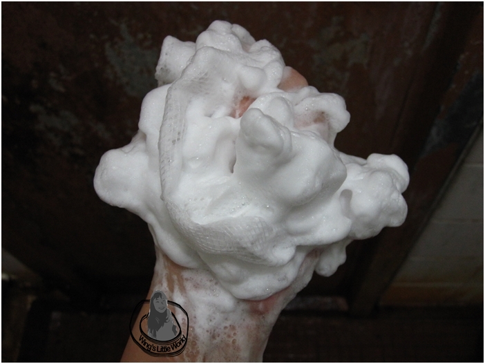 bevy-cleanser-mask-5