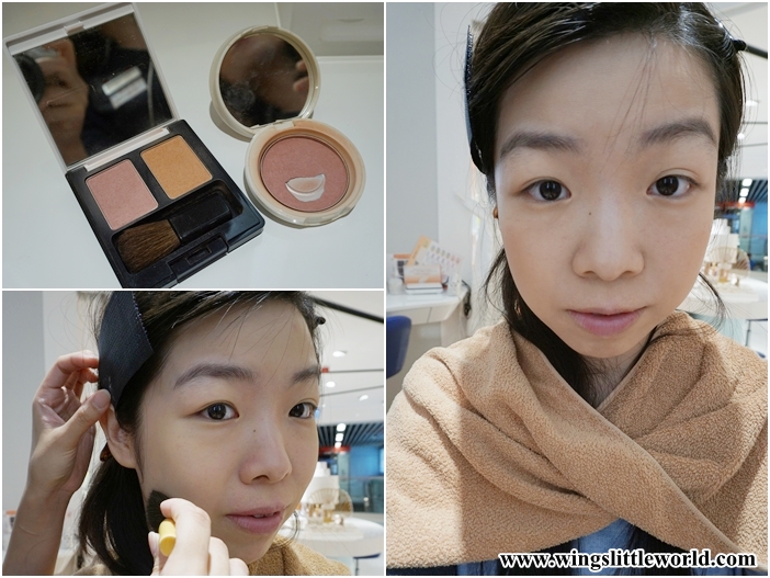 adjuvant-prinshell-11