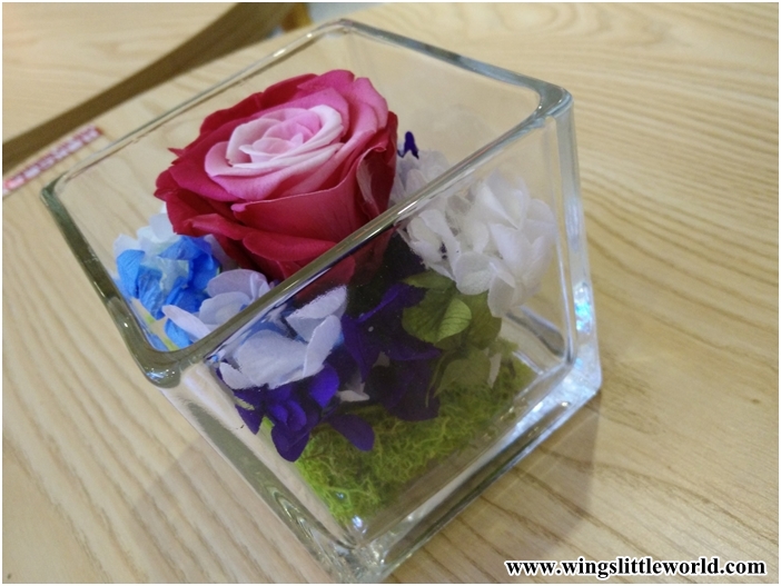 kckorea-baybaygarden-4