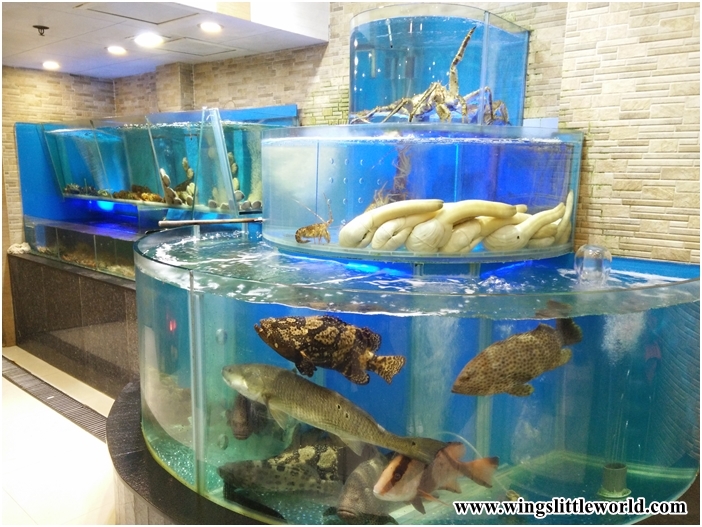 chiu-fook-steam-stone-pot-2