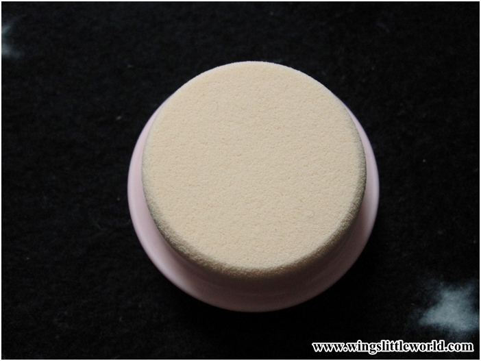 drthink-cleansing-device-11