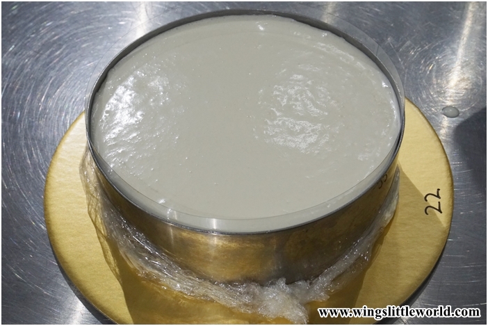 president-chocokoo-8