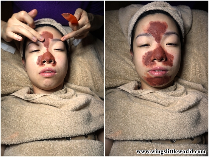 wild-organic-facial-10