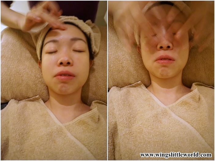 wild-organic-facial-7