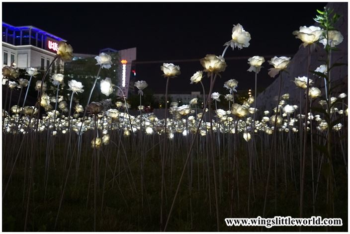 korea-2016-art-centre-35