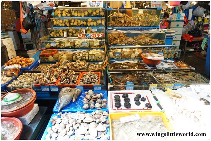 korea-2016-day-3-noryangjin-3