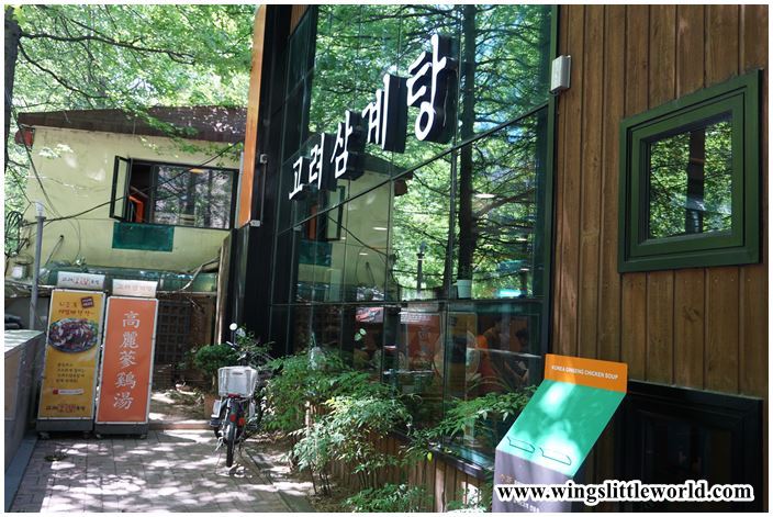 korea-2016-day-4-korea-ginseng-chicken-soap-3