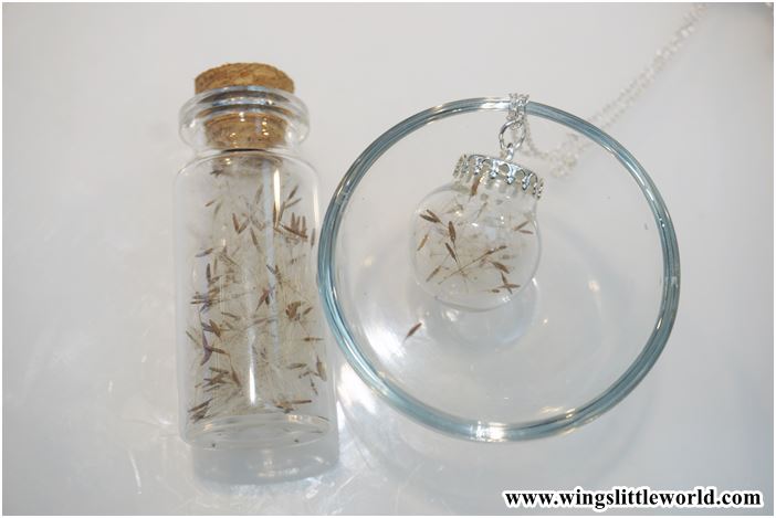 philiosophy-event-10